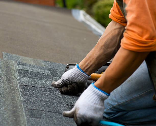 Professional Roofing Contractor in Alliance, NE